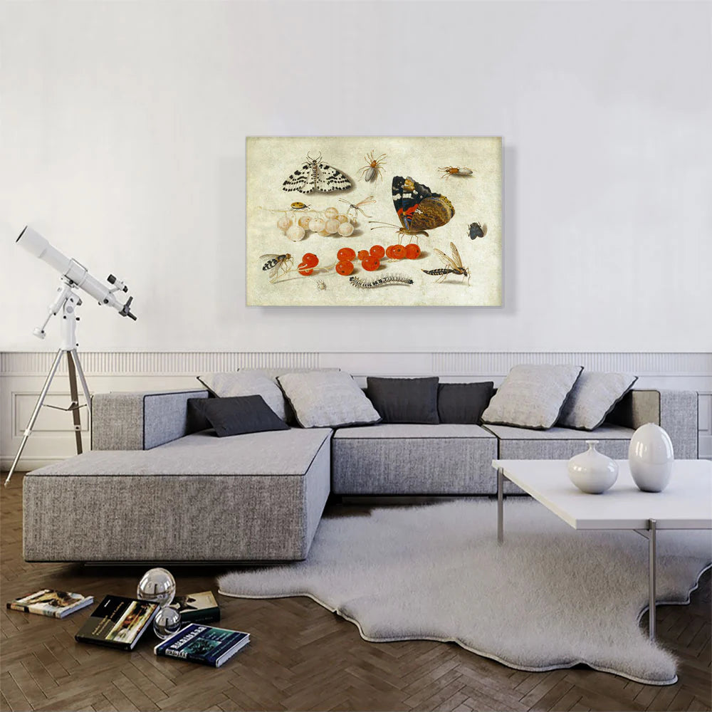 Butterfly Caterpillar Moth Insects and Currants