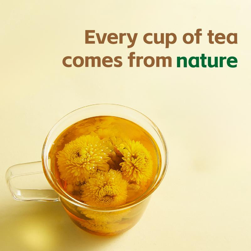 Dandelion Wolfberry Tea [LB] Dandelion Goji Berry Tea - 100% Natural - Dandelion Leaves & Roots | 150G per Pack | Caffeine Free