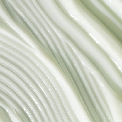 Divi Volumizing Shampoo & Conditioner Bundle for Fine & Thin Hair, Lightweight Formula with Postbiotics & Green Tea, 2 X 250Ml - 1 Pack