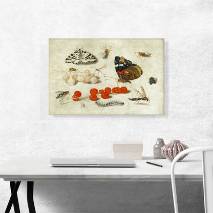 Butterfly Caterpillar Moth Insects and Currants