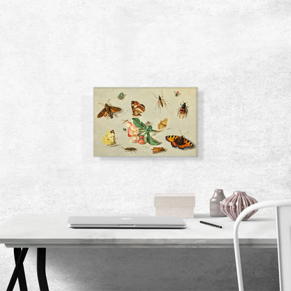 Butterflies Moths a Dragonfly and Insects with a Spring of Apple Blossoms