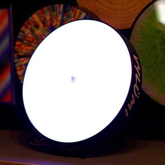 Vylümi FLÖ - LED Vinyl Record Display and Music Visualizer